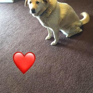 Meet your Posher, Tim